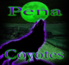 Manuel “Lito” Peña Jr. School Logo